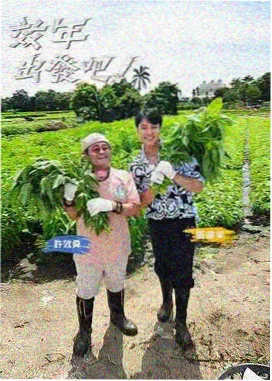 亲子休闲益智综艺